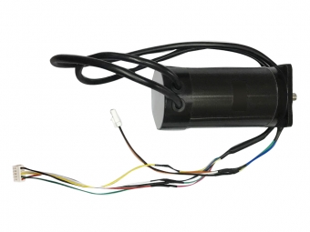 motor 36V 200W